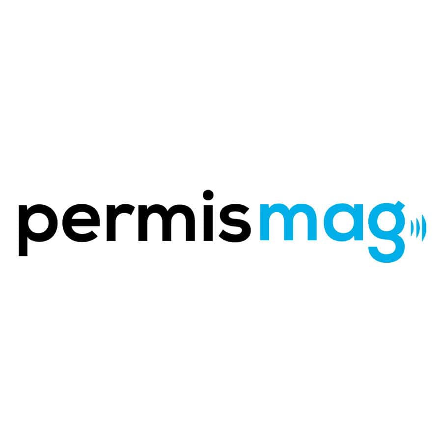 Permis mag